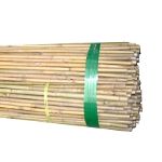 Canes 3' / 900mm 9/11lbs (250 pack)