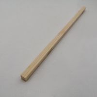 Caudon® Mammal Ladder 260mm (5L Pitfalls)