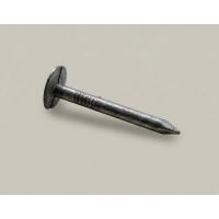 Galvanised Clout Nails 3x30mm (2.5Kg Pack)