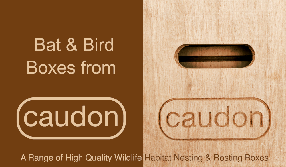 Caudon Bat & Bird Boxes