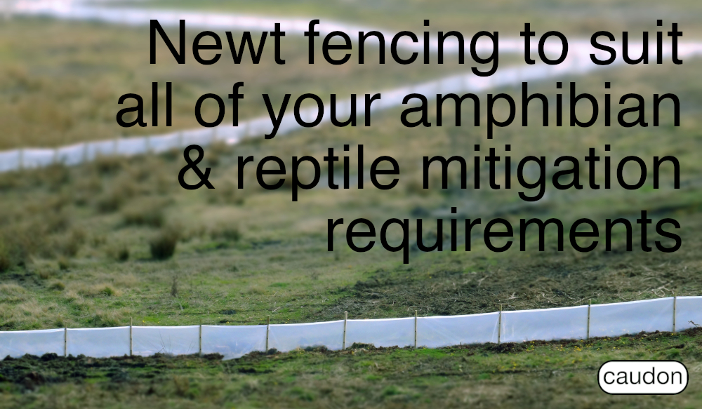 Newt Fencing